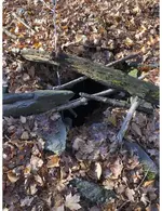 Old Well.webp