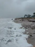 RioMar-BeachDebris-2VNice.JPG
