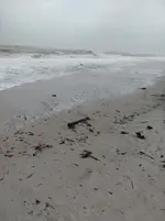 RioMar-BeachDebris-1.JPG