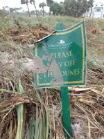 RioMar-Sign-OrchidIsle-Green-1.JPG