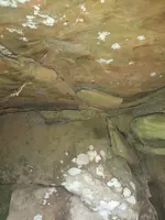 IMG_20221031_120906490.webp