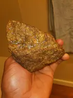 20221107_074655.webp