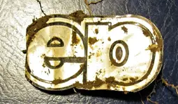 ed.webp