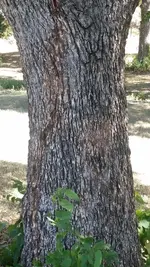 20220925_145935.webp