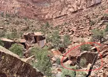 sc_343758300942871.webp
