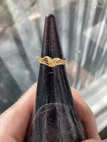ring2.webp