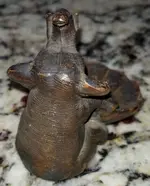 elephante (5).webp