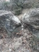 456.webp