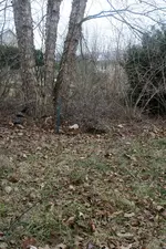 Img_8147.webp