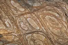Liesegang Rings in Granite.webp