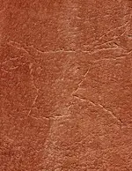 20221026_175342.webp