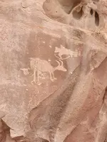 20221026_174747.webp