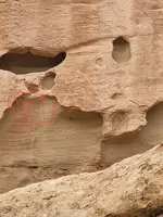 20221026_140217.webp