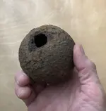 confederate hollow.webp