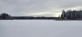 Ice 1.webp