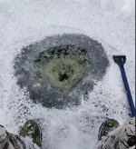 Ice 2.webp