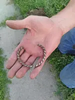 20221003_175509.webp