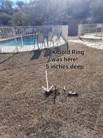 20221208_104433.webp