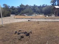 20221208_115302.webp