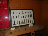 IMGP6150.webp
