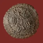 small button grapes.webp