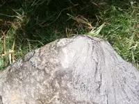 IMG_20221209_133049_255.webp