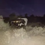 20221129_175922.webp
