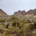 20221203_113058.webp