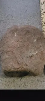 ARTIFACT D1.webp