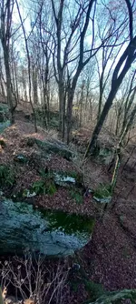 20221209_144412.webp