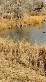 20221212_140102.webp