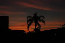 DSCN4844.webp