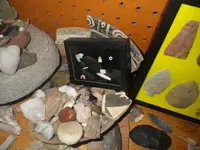 IMGP6754.webp
