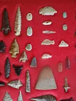 IMGP6764.webp