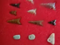 IMGP6765.webp