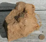 mortar2.webp