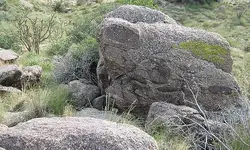IMG_0206c.webp