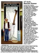 2005160849377559247_rs.webp