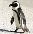 !!!!AH00LH5CAPRCGCWCAYTCY6S.webp