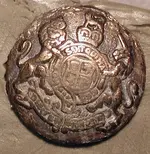 button1.webp
