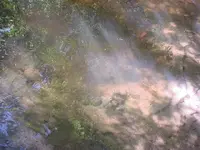 DSC00216.webp