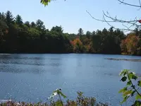 IMG_3412.webp