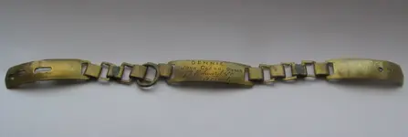 clegg dog collar wd.webp