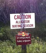caution_alligator_sign_funny_sign_p.webp