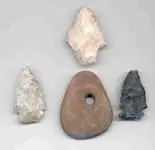 finds.webp
