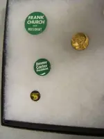 hoover pin auction.webp