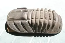 SG1L3197.webp