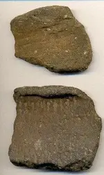 Duncombe crk pot sherds.webp