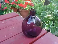 RUM 1.webp