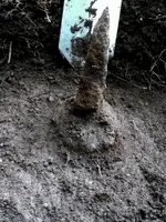 stoneslab2.webp